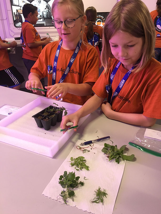 Camp KSC 2018 Team Pathfinder harvests microgreens in the Mars Base 1 botany lab.